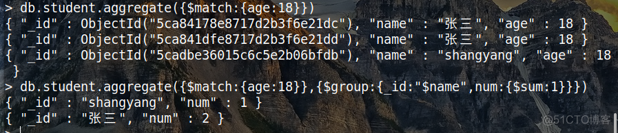 java mongo 聚合 mongo分组聚合_大数据_04