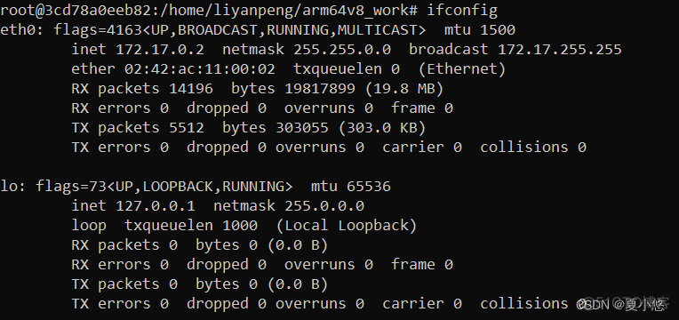 arm docker构建x86容器 arm docker 运行x86_arm docker构建x86容器_09