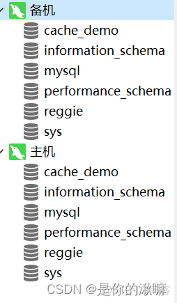 mysql搭建主从 mysql8.0 主从_数据库_05