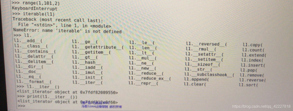 python l1 python L1 编程_迭代_52
