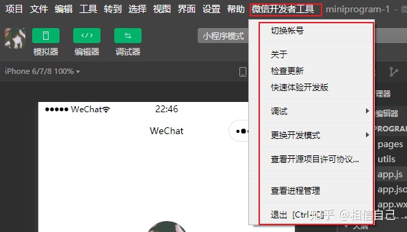 微信开发者工具可视化 微信开发者工具view_微信开发者工具可视化_09