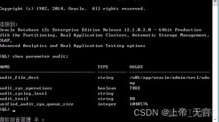 mysql临时开启审计日志 mysql 日志审计_数据库