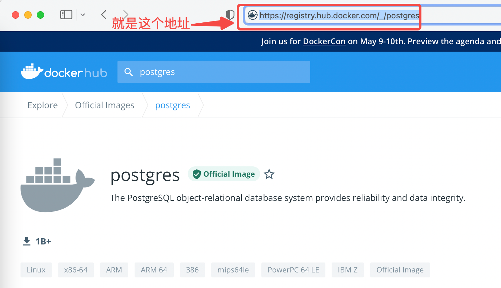 群晖docker 储存库链接 群晖的docker_postgresql_05