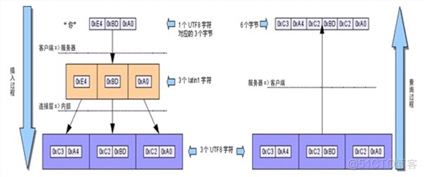 mysql查看数据库编码 查询mysql数据库编码_MySQL_03