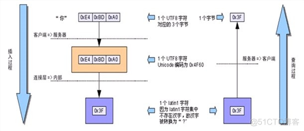 mysql查看数据库编码 查询mysql数据库编码_数据库_04