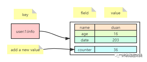 redis 把汉子全部存成二进制吗 redis字段_redis hash field过期时间