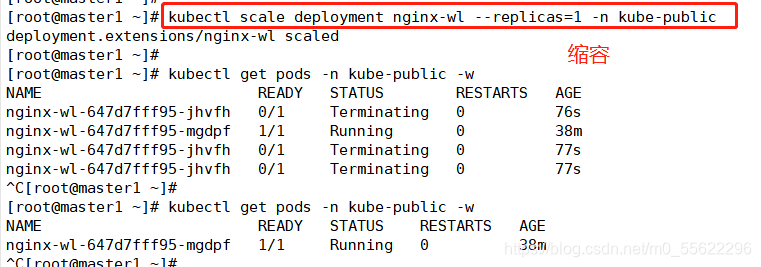 kubernetes查看pod端口 kubectl查看deployment_运维_10