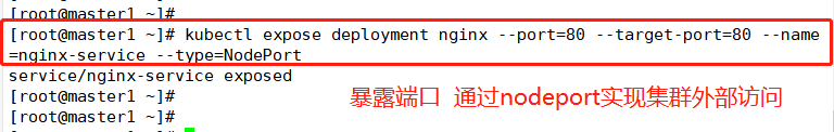 kubernetes查看pod端口 kubectl查看deployment_运维_13