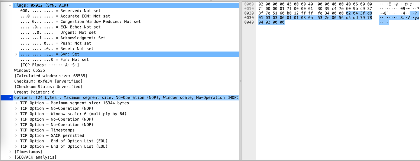 java tcp报文组装 java解析tcp报文_java tcp报文组装_04