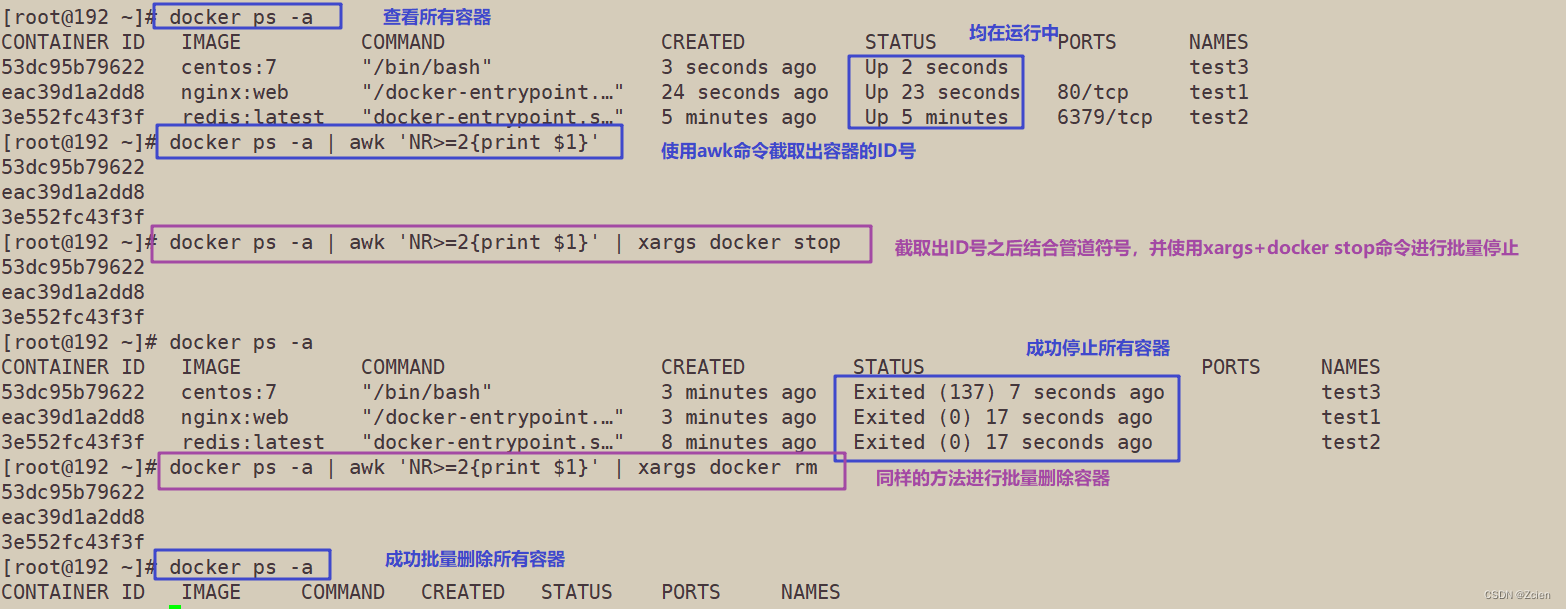 docker 安装容器 docker安装容器魔方教程_运维_34