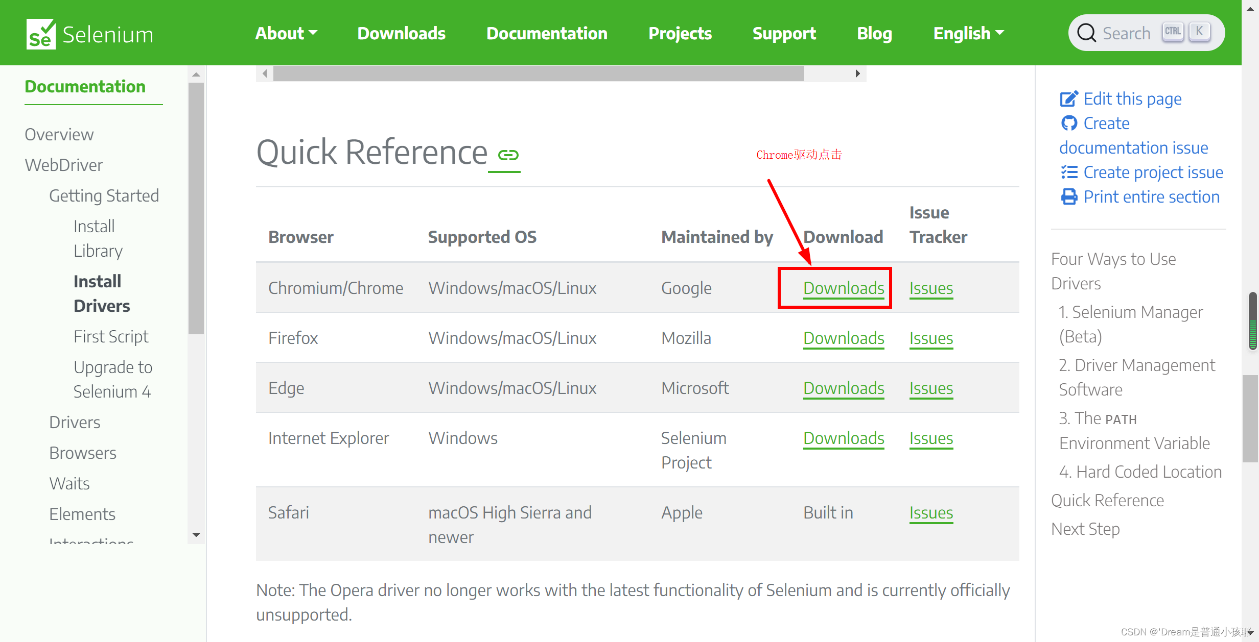 浏览器 chrome 支持java 谷歌浏览器不支持java_selenium_02