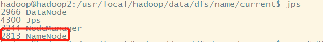 java查看hdfs总容量和使用情况 hdfs查看namenode_大数据_03