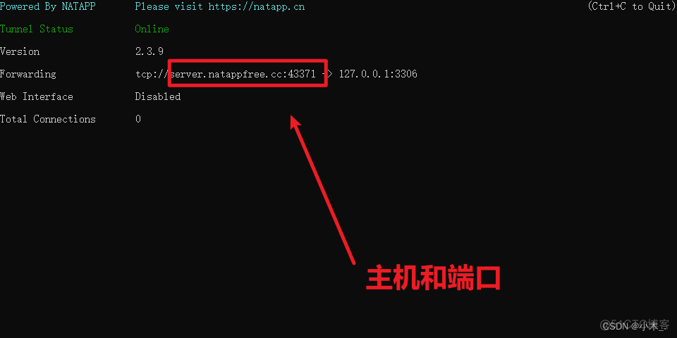 pythonTCP透传 python内网穿透库_数据库_13