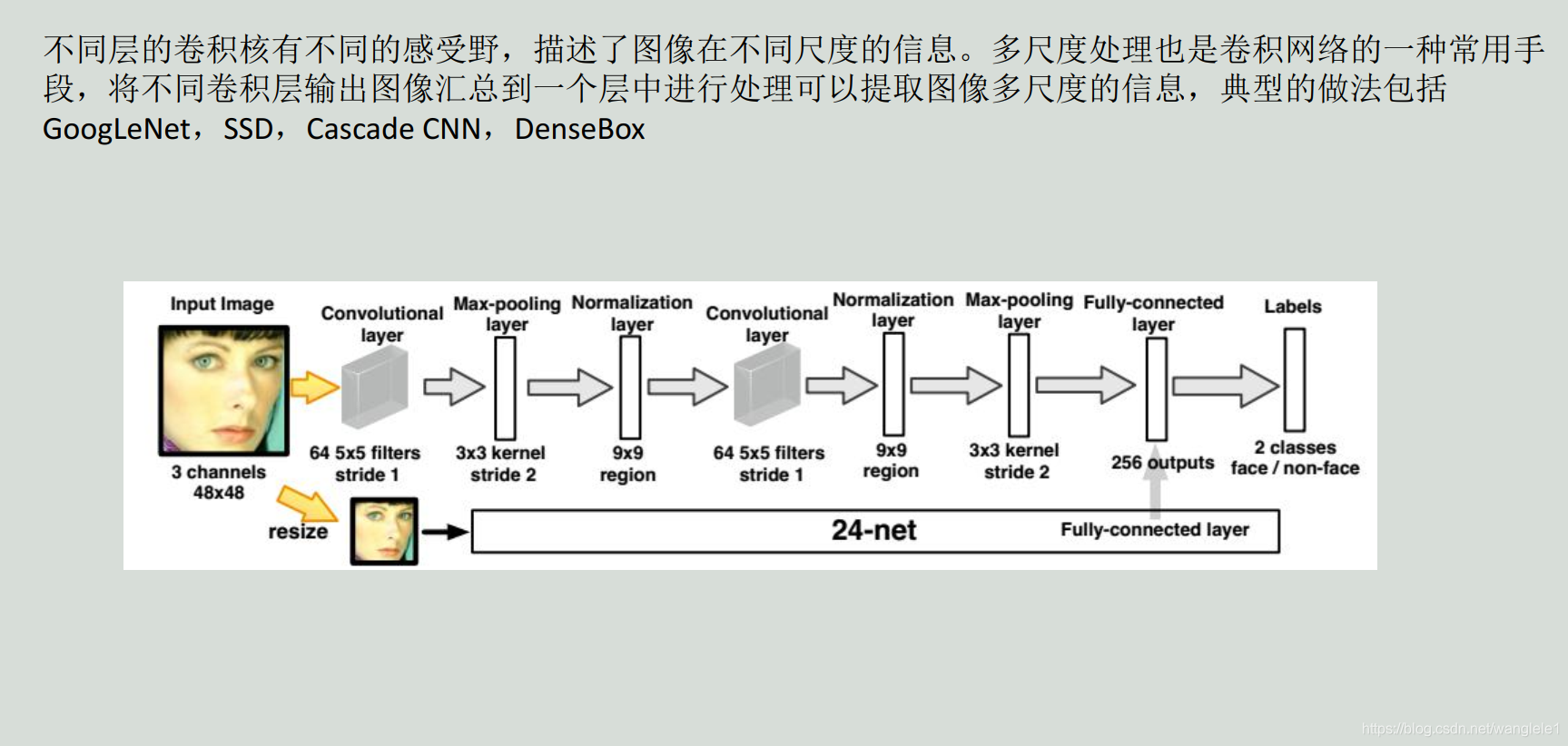 卷积神经网络如何更新参数 卷积神经网络改进_卷积神经网络如何更新参数_26