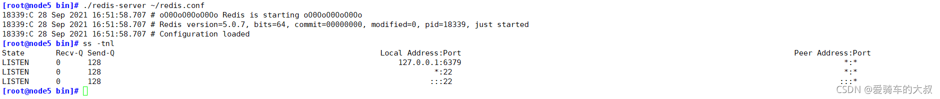 装Redis好吗 redis需要安装吗_redis_05