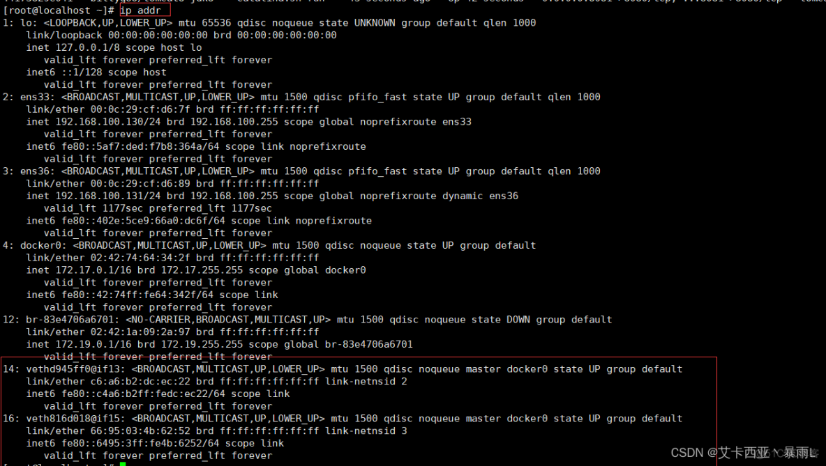 linux中的docker的虚拟网卡如何关闭 删除docker虚拟网卡_tomcat_21