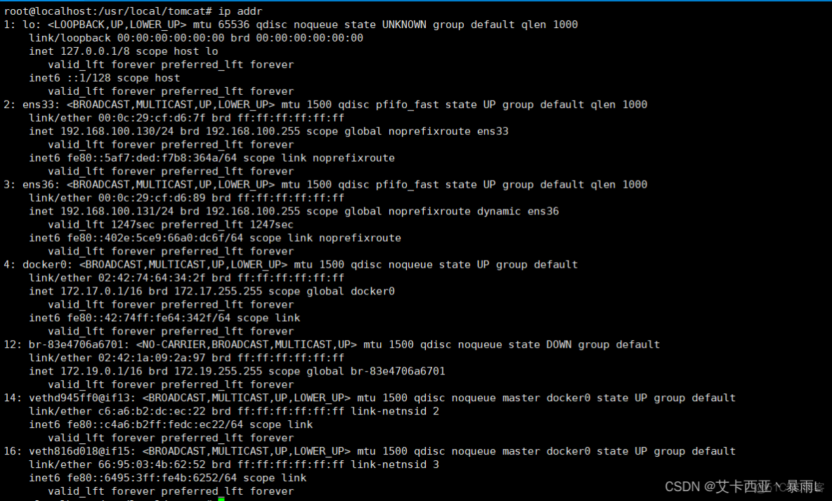 linux中的docker的虚拟网卡如何关闭 删除docker虚拟网卡_IP_31