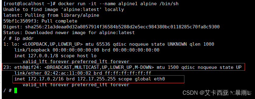 linux中的docker的虚拟网卡如何关闭 删除docker虚拟网卡_IP_39