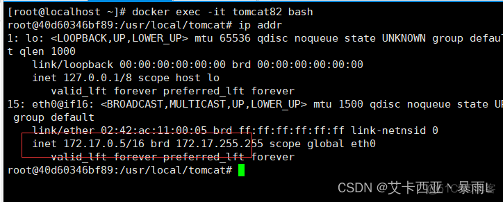 linux中的docker的虚拟网卡如何关闭 删除docker虚拟网卡_linux_44