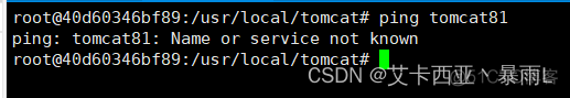 linux中的docker的虚拟网卡如何关闭 删除docker虚拟网卡_tomcat_48