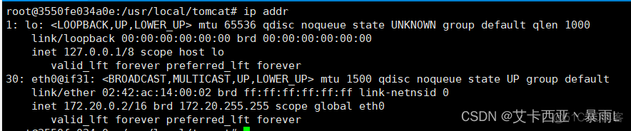 linux中的docker的虚拟网卡如何关闭 删除docker虚拟网卡_linux_51