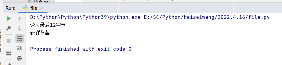 python lineEdit 光标向前 python文件光标_打开文件_07