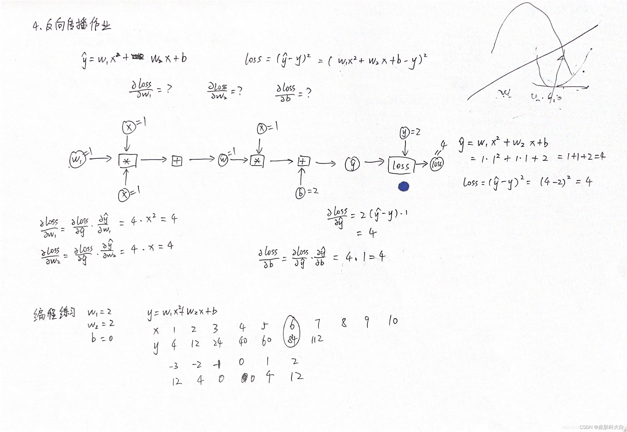 pytorch linear前向传播 pytorch重写反向传播_深度学习_02