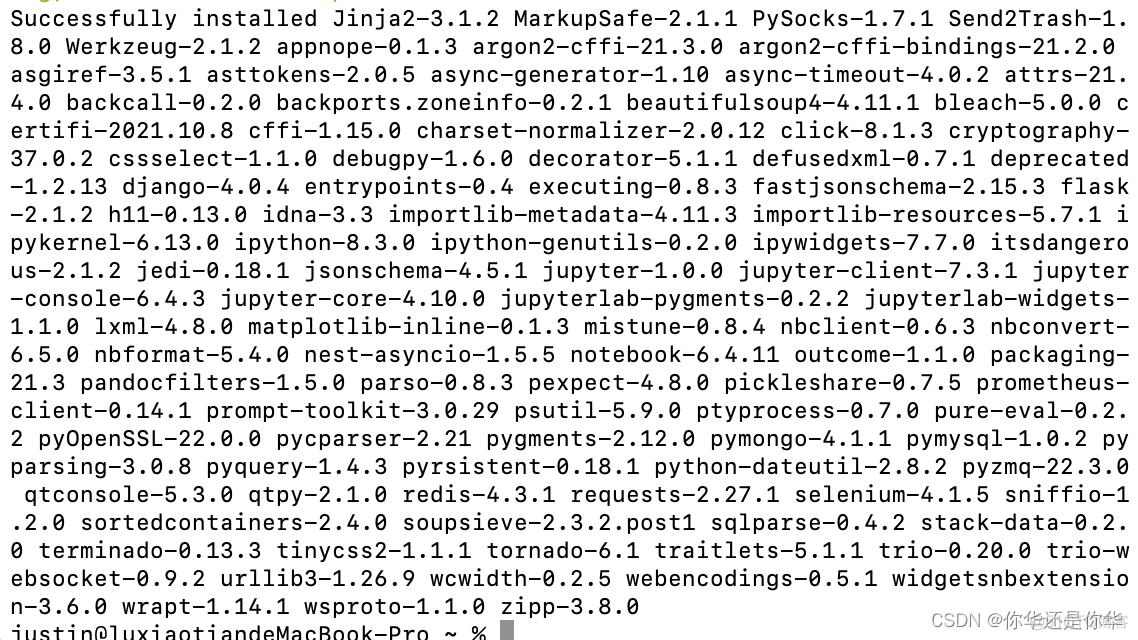 python _dbm安装 python安装commands模块_redis_12