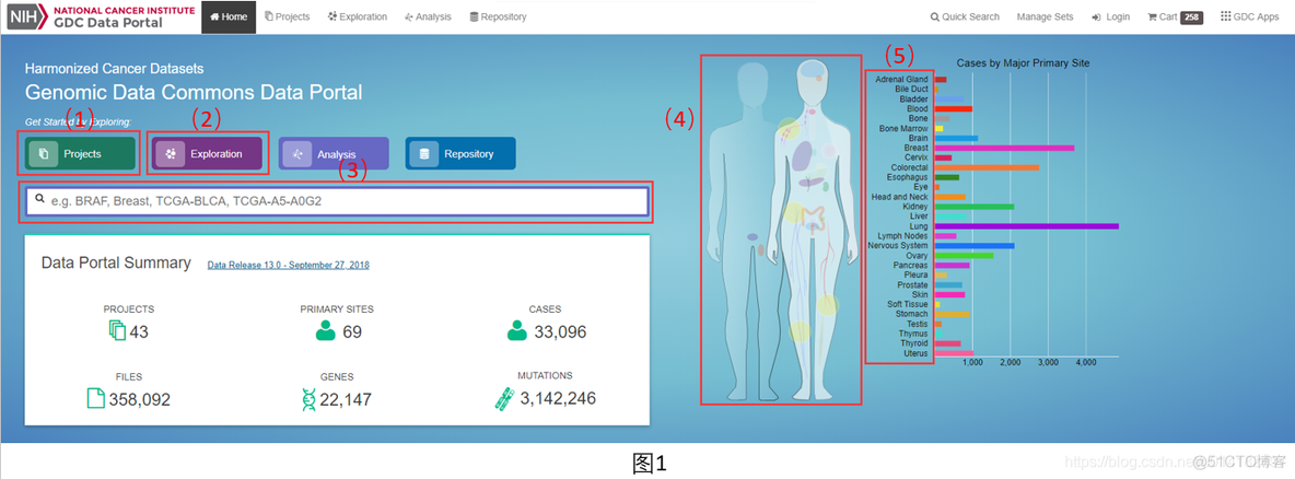 TCGA数据库下载的RNAseq数据tsv用R语言读取 tcga临床数据库_导航栏