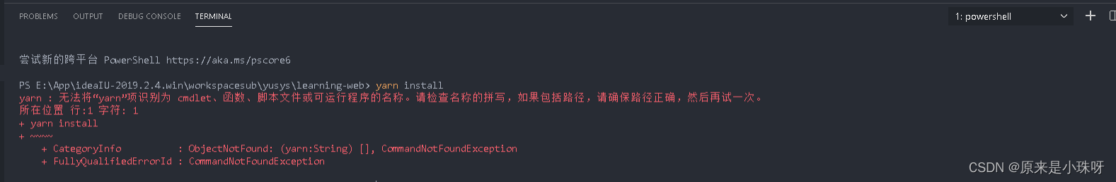 yarn install无法识别 无法将yarn识别为_vscode