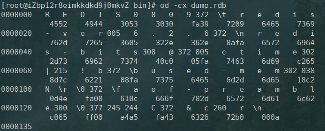 Redis的RDB配置 redis rdb_Redis_02