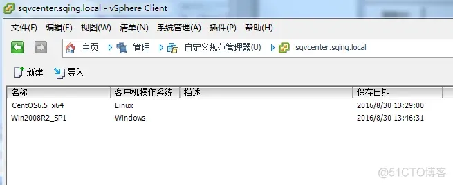 简述 vSphere 虚拟化架构 vsphere虚拟机部署有哪些模式_自定义_30