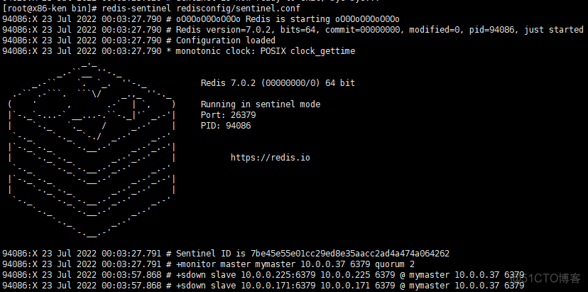 redisson DNS redisson dnsmonitor 日志一直刷_内网_07