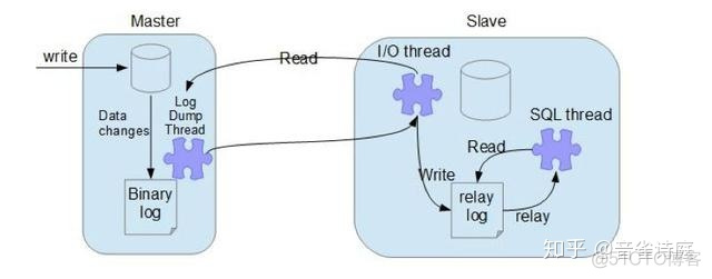 mysql 主从error code 1032 mysql 主从配置 知乎_服务器_08