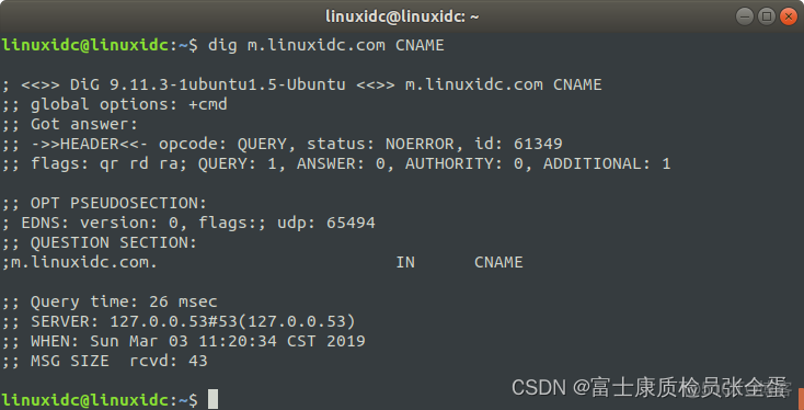 应用层 DNS Linux 下解析域名命令 dig 命令使用详解_linux_05