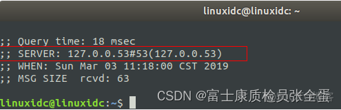 应用层 DNS Linux 下解析域名命令 dig 命令使用详解_网络_08