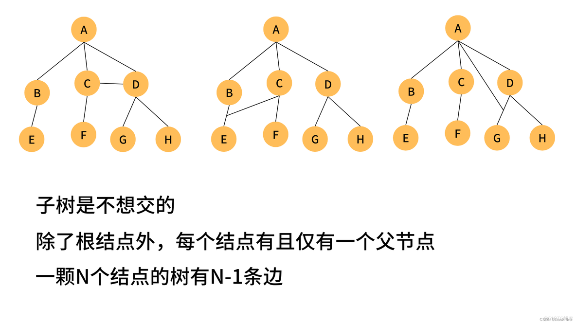 数据结构入门 — 树的概念与结构_c++_02