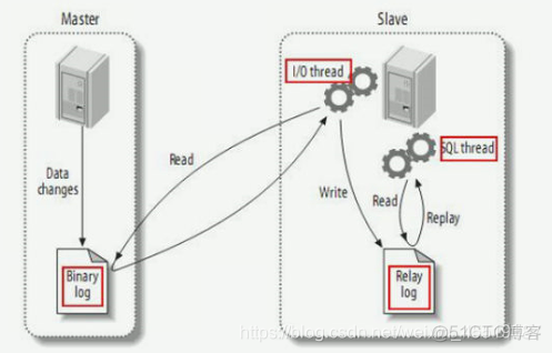 docker拉取etcd镜像 docker拉取centos镜像_mysql_05