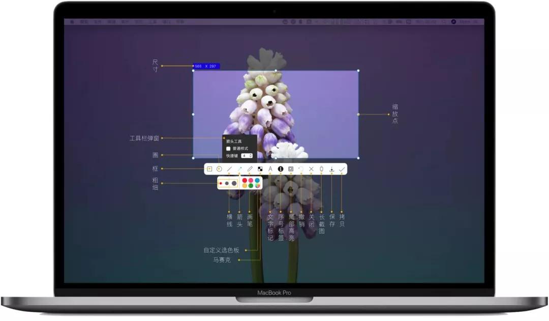 ios开发 用画笔写文字 苹果写字画画软件_iOS_06