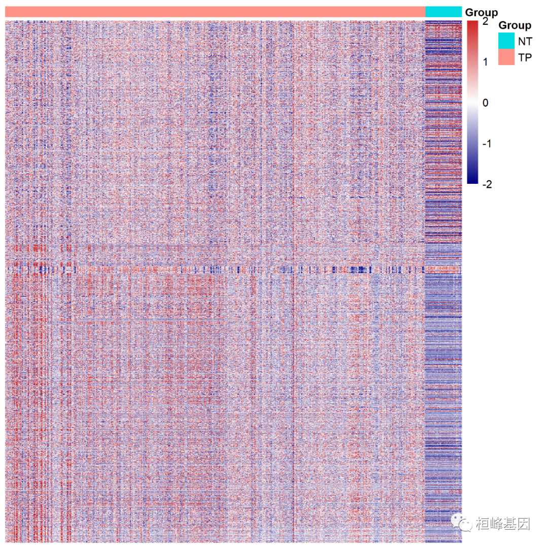 基因表达差异python 基因表达差异的热图_数据_02