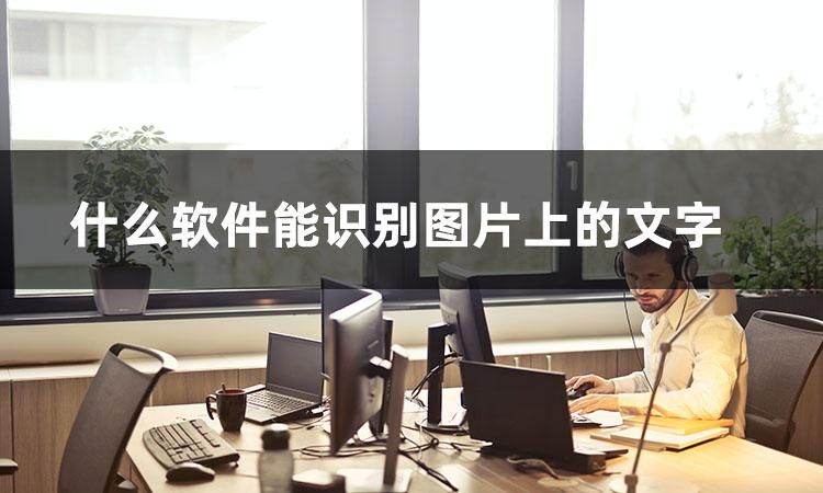 识别图片文字 java 识别图片文字的软件app_文字识别_02