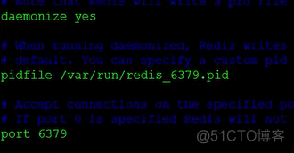 linux部署redis修改配置 linux配置redis环境变量_环境变量_13