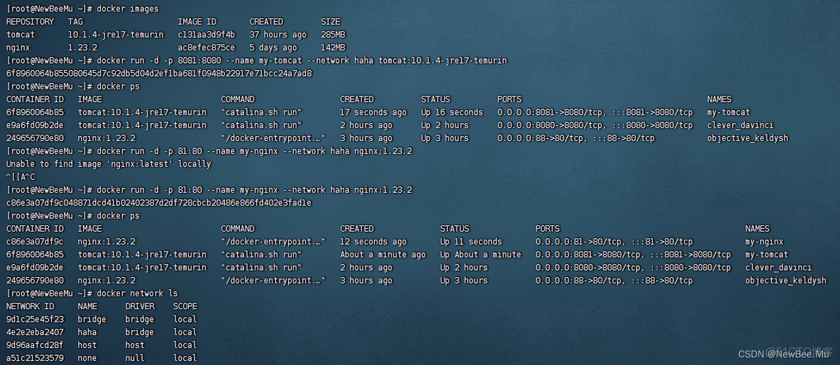 服务器如何将docker作为anaconda环境 服务器安装docker_nginx_26