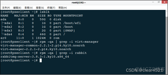 麒麟v10安装redis 麒麟v10安装exe文件_kylin_10