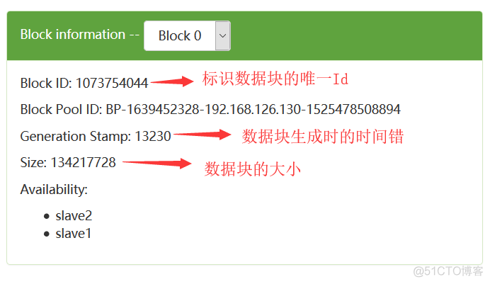 Hadoop冗余备份 hadoop的数据块默认冗余度是_Hadoop冗余备份_09