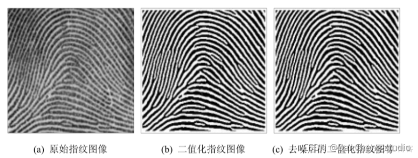 基于python指纹识别系统 指纹识别算法毕业设计_算法_09