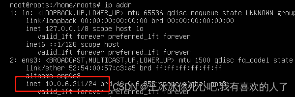 ubuntu 22安装 acpi bios error ubuntu 22安装ss_安装系统_15