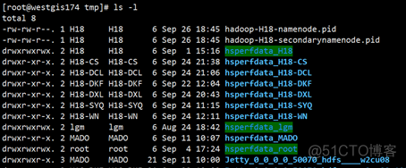 hadoop 免密 hadoop免密登录失败怎么办_vim_21