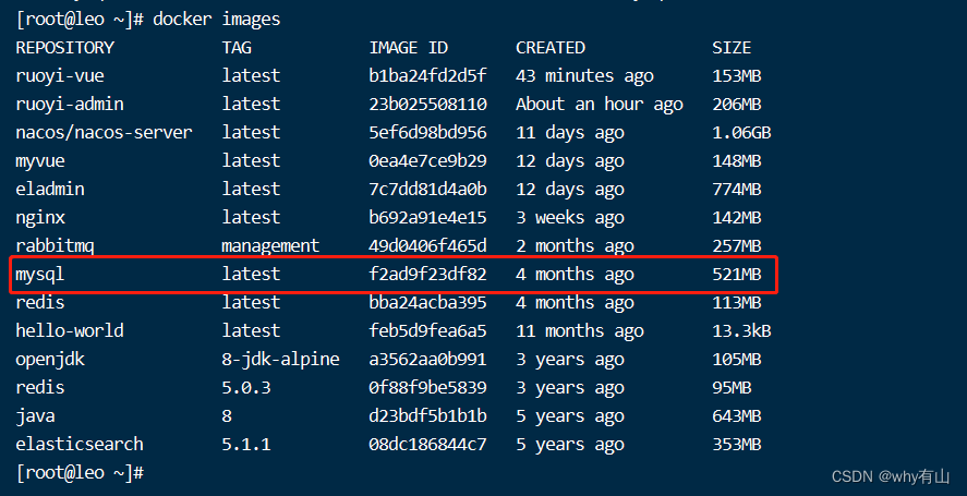 若依 docker file 若依官网,若依 docker file 若依官网_java,第1张