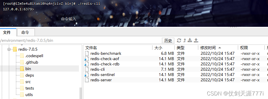 linux 查询是否有redis linux查看是否安装了redis_安装包_07